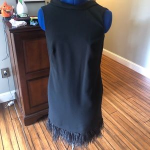 Ann Taylor 1920’s style feather bottom dress